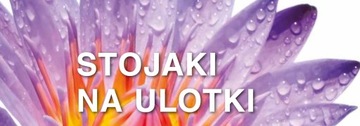 Подставка для листовок и каталогов А4 + разделитель 2 х DL