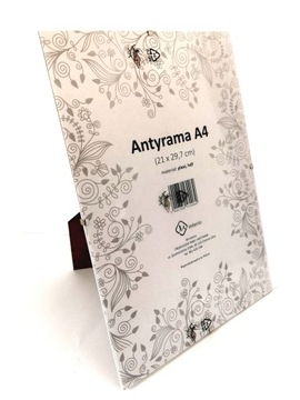 ANTYRAMA A4 plexi 21x29,7 z nóżką ! RAMKA stojąca