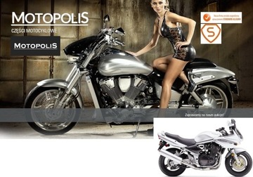 SUZUKI GSF 1200 BANDIT 96-05 - АВТОМОБИЛЬНЫЕ НАКЛАДКИ