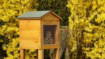 Садовый пчелиный улей, тростниковые трубки, украшение сада