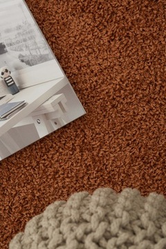 Модный ковер Shaggy Soft Carpet, мягкий ворс