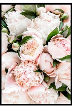 40x50 Plakat pudrowy róż beż krem peonie i listki
