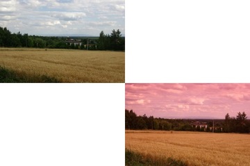 КРАСНЫЙ ПОЛУФИЛЬТР ДЛЯ СИСТЕМЫ COKIN P