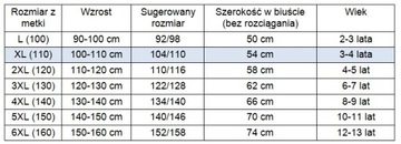R205XL* Платье-боди Ballet Dance of Roses 104/110