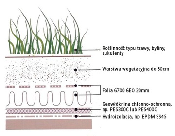 Folia 20 do dachów zielonych z geowłókniną 2x10m