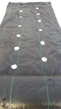 Агроткань от сорняков с ДЫРКАМИ для клубники