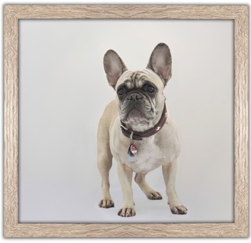 Рамка для фото Italia квадратная 30х30 шоколадная