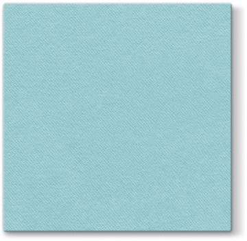 Serwety PAW PROFESSIONAL MIĘTOWE AIRLAID 40x40cm