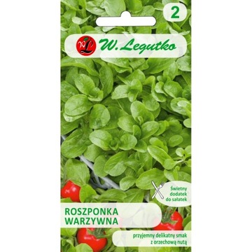 Roszponka warzywna Verte de Vambrai 2G