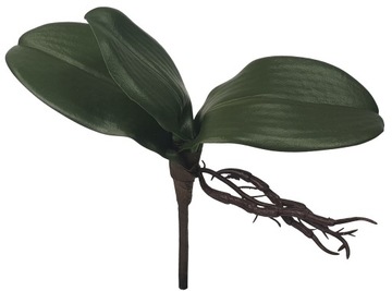 LIŚĆ STORCZYK GUMOWY LIŚCIE STORCZYKA 26,5 CM