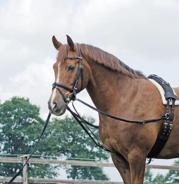 Pony WYPINACZE TRÓJKĄTNE SKÓRZANE BUSSE BASIC