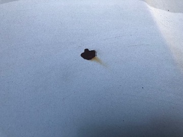 KAPOTA VÍKO KUFRU PŘEDNÍ SAAB 9-5 95 279 2005-2009