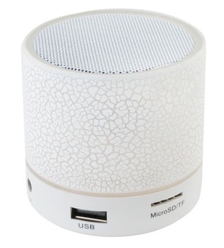 Bezprzewodowy Głośnik Bluetooth z Radiem i USB