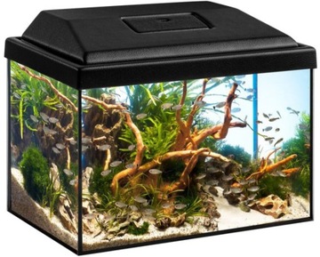 Zestaw dla dzieci,12l 30x20x20 LED Expert Splash