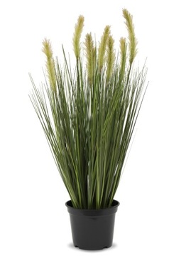 Roślina dekoracyjna piękna trawa 75 cm
