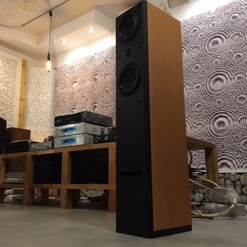 Колонки USHER V-604 AudioLand Studio