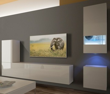 Meblościanka zestaw Salon Mebli COLMAR N18 1A