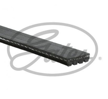 GATES Pasek klinowy wielorowkowy, Micro-V 4PK105