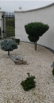 320 cm szeroka 5 m długa Agrotkanina na chwasty