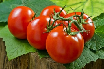 КАПЕЛЬНАЯ ЛИНИЯ 100м + 68 ЭЛЕМЕНТОВ + БЕСПЛАТНО