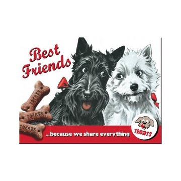 Magnes Best Friend Nostalgic 14243