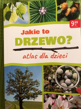 Jakie to drzewo atlas dla dzieci