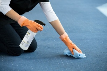 Сильнодействующее пятновыводитель KARCHER RM769 0,5л DE