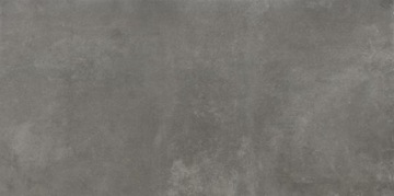 TASSERO GRAFIT STR R11 REKTYFIK 60*120 G2 m2 zamów