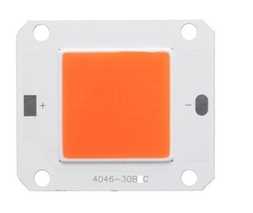 LED COB 50W na 30V Full spectrum BOX do roślin