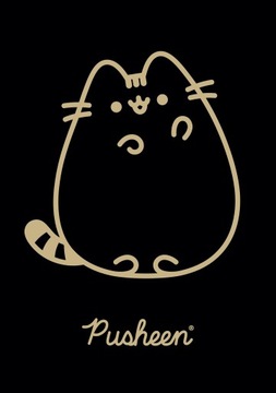 ZESZYT A5 60 KARTKEK KRATKA PUSHEEN 5232