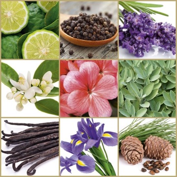 STR8 Woda po goleniu Ahead 100ml