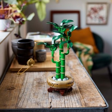 LEGO BOTANICALS 10344 DRACENA SANDERA