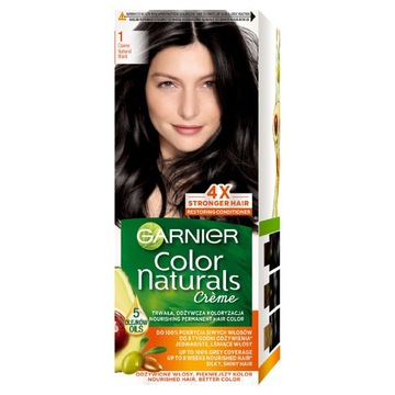 Garnier Color Naturals 1 Czarny farba do włosów 1 sztuka