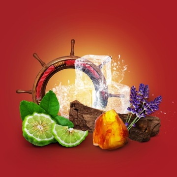 НАБОР OLD SPICE PIRATE + КАРТОЧКИ 4ШТ.