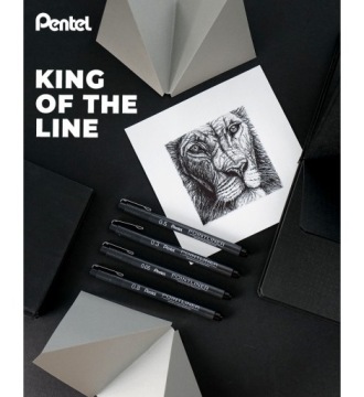 Карандаши для рисования PENTEL POINTLINER (5 шт.)