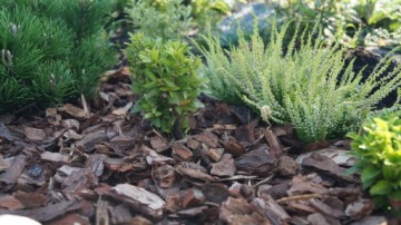 КОРА СОРТИРОВАННАЯ 20-50ММ 80Л