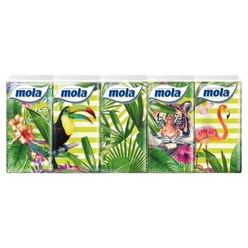 MOLA Eukaliptus chusteczki higieniczne 10x10