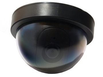 ATRAPA KAMERY DC2100