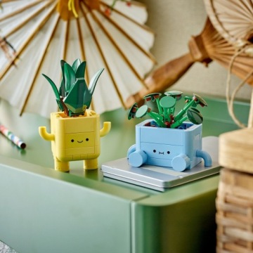 LEGO блоки || Ботаники счастливых бровей для ребенка + сумка