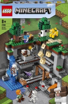 LEGO Minecraft кирпичики Первое приключение набор 21169
