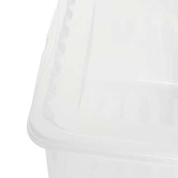 Bea pojemnik clearbox keeeper 11L transparentny