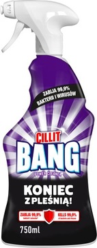 Cilllit Bang Spray для плесени и черных поселений 750 мл