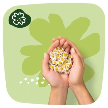 Прокладки гигиенические Naturella Ultra Normal 18 шт.