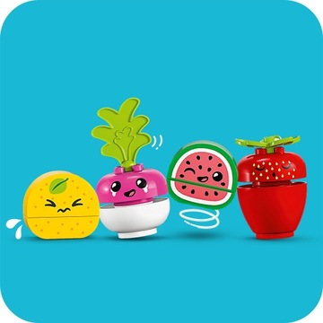 LEGO Duplo 10983 Биография Рынечека