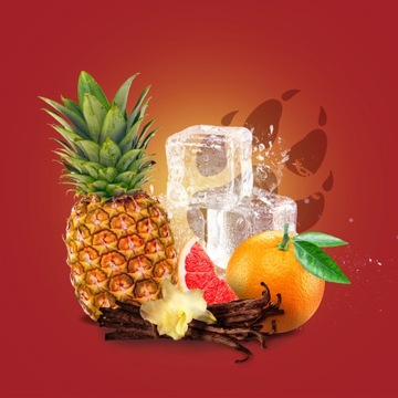 СТАРЫЕ СПЕЦИИ 50 МЛ WOLFTHORN