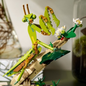 LEGO Ideas 21342 БАБОЧКА 3В1 Коллекция насекомых ДЛЯ ВЗРОСЛЫХ