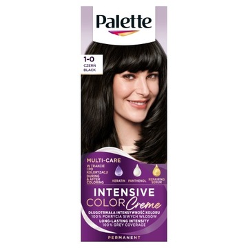 PALETTE farba N1 /1-0 czarna