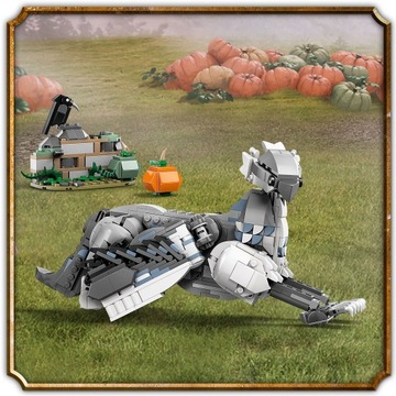 LEGO(R) ГАРРИ ПОТТЕР 76427 Клюв