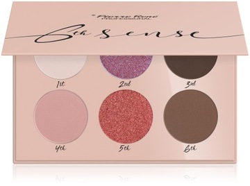 PIERRE RENE Профессиональная палетка Six'th Sense 04