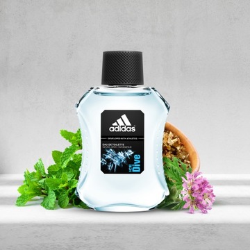 Мужской парфюм Adidas Ice Dive 100 мл